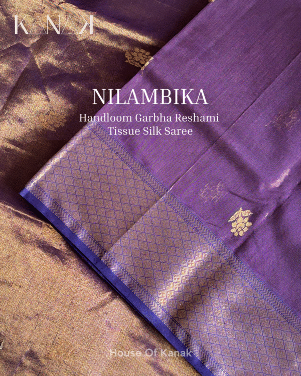 Nilambika - Image 5