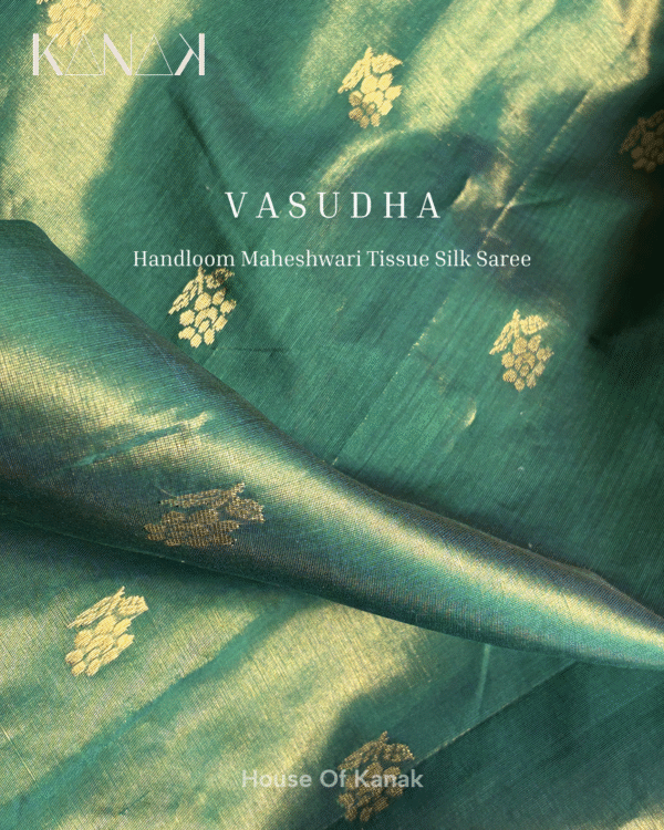 Vasudha - Image 7